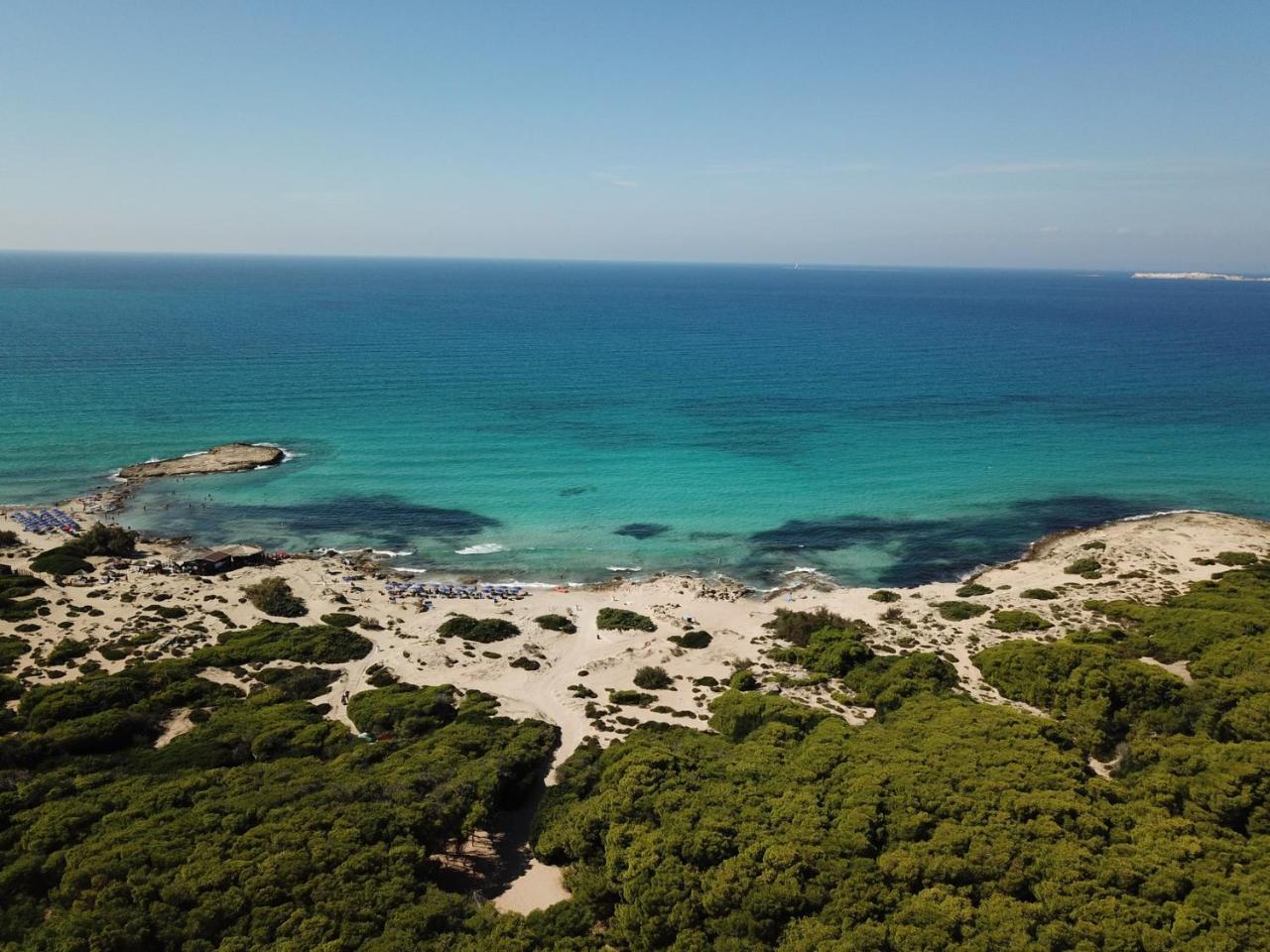 Residenza Del Timo Villa Gallipoli Dış mekan fotoğraf